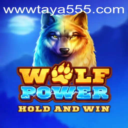 Exploring the Thrilling World of WolfPower and the Mystery of Taya 555